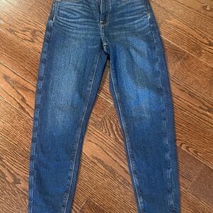 American Eagle Outfitters Dark Blue Ankle Jeans